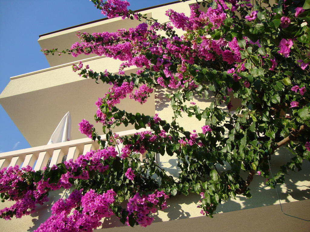 Apartments Villa Cizmic Baška Voda Exterior foto