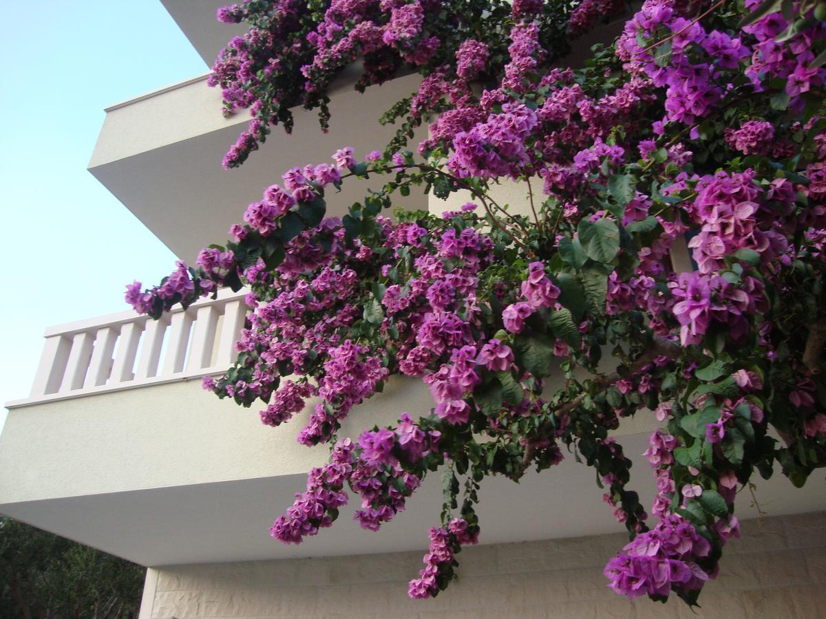 Apartments Villa Cizmic Baška Voda Exterior foto